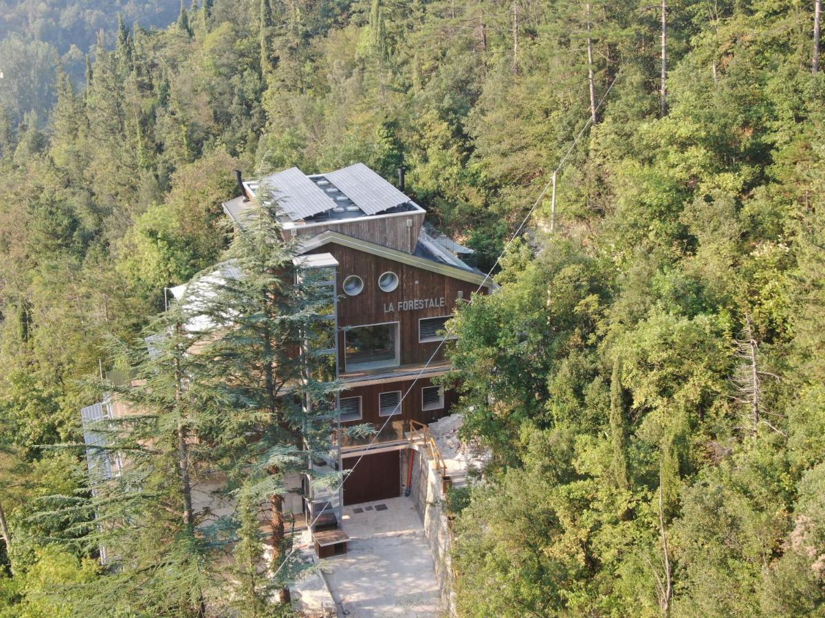 La Forestale Luxury Ecolodge B&B Primo Piano Acqualagna Zewnętrze zdjęcie