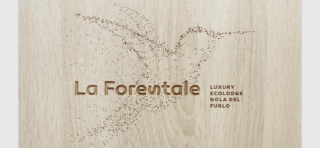 La Forestale Luxury Ecolodge B&B Primo Piano Acqualagna Zewnętrze zdjęcie