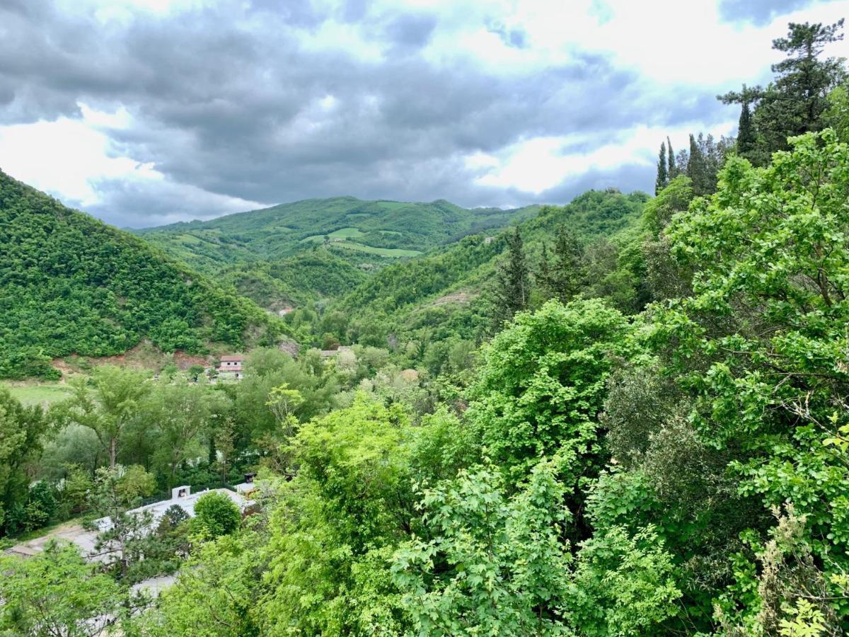 La Forestale Luxury Ecolodge B&B Primo Piano Acqualagna Zewnętrze zdjęcie